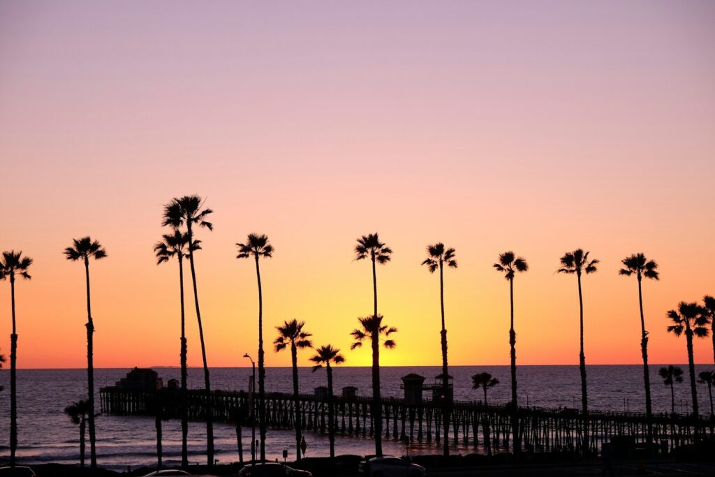 Silhouette of palm trees and Oceanside Pier at sunset.